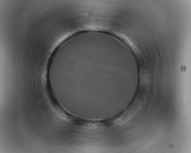 X0000102350488200808011207