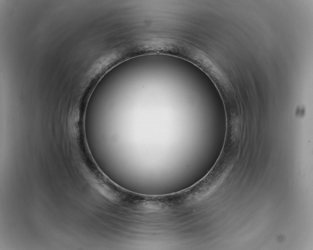 X0000102350490200808011207