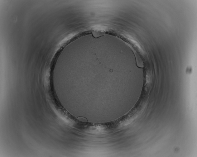 X0000102350492200808011207