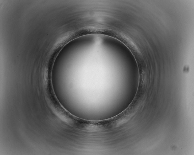 X0000102350494200808011207