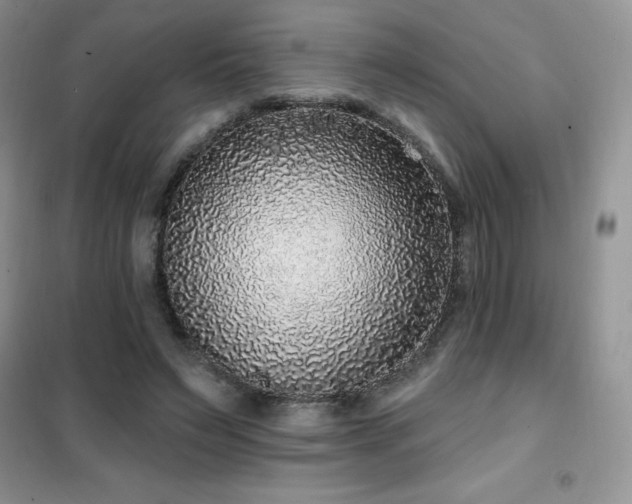 X0000102350495200808011207