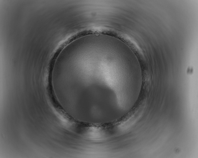 X0000102350496200808011207