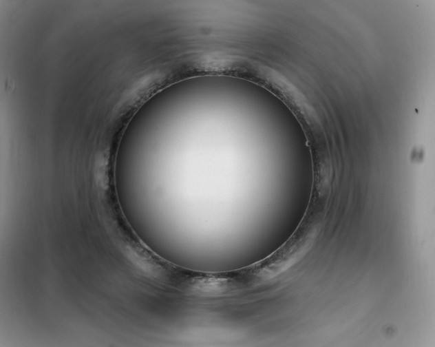 X0000102350497200808011207