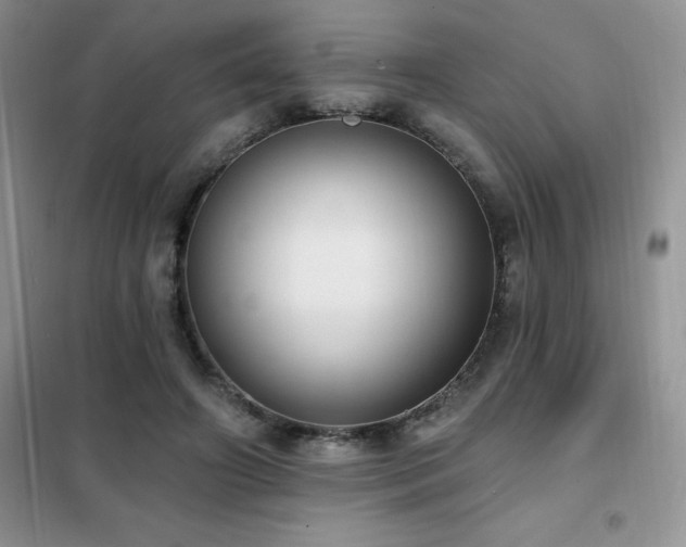 X0000102350498200808011207