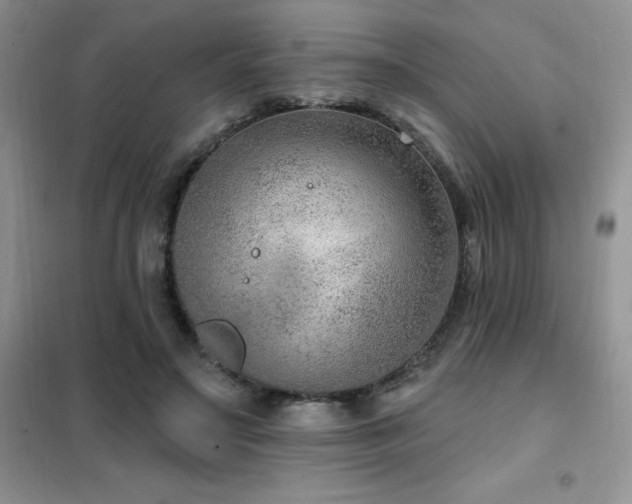 X0000102350499200808011207