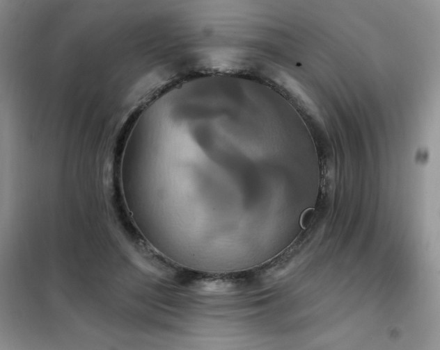 X0000102350500200808011207