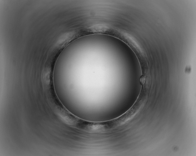 X0000102350501200808011207