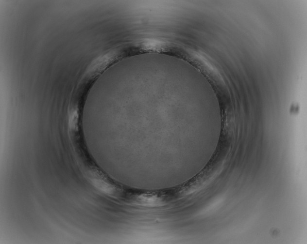 X0000102350502200808011207