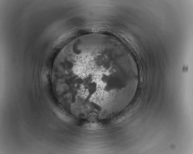 X0000102350503200808011207