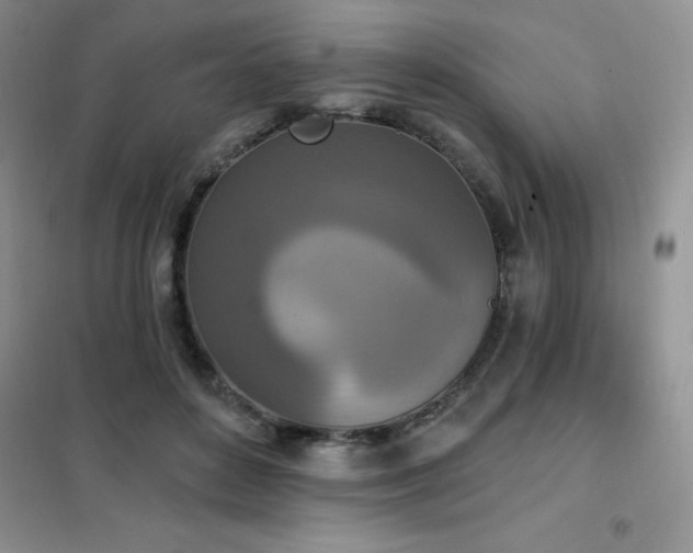 X0000102350504200808011207