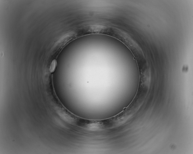 X0000102350505200808011207