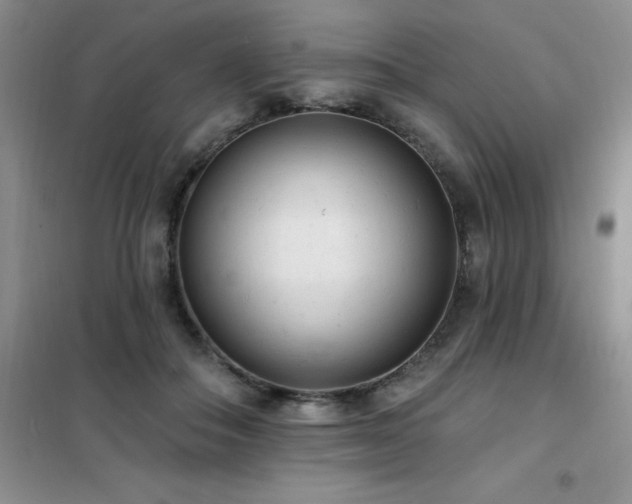 X0000102350506200808011207