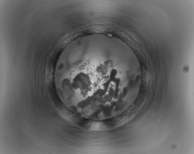 X0000102350507200808011207