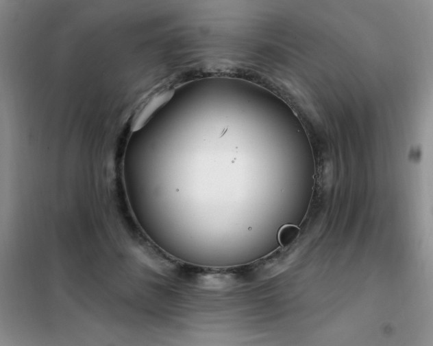 X0000102350508200808011207