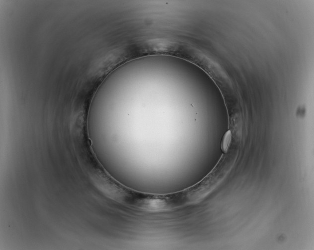 X0000102350509200808011207