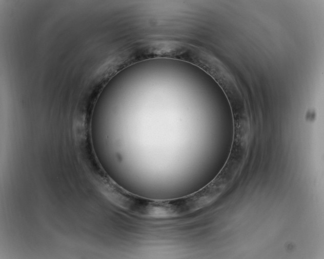 X0000102350510200808011207