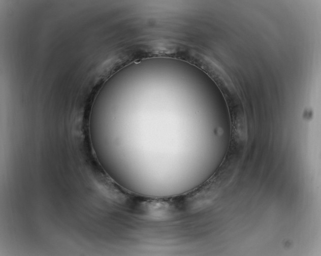 X0000102350512200808011207