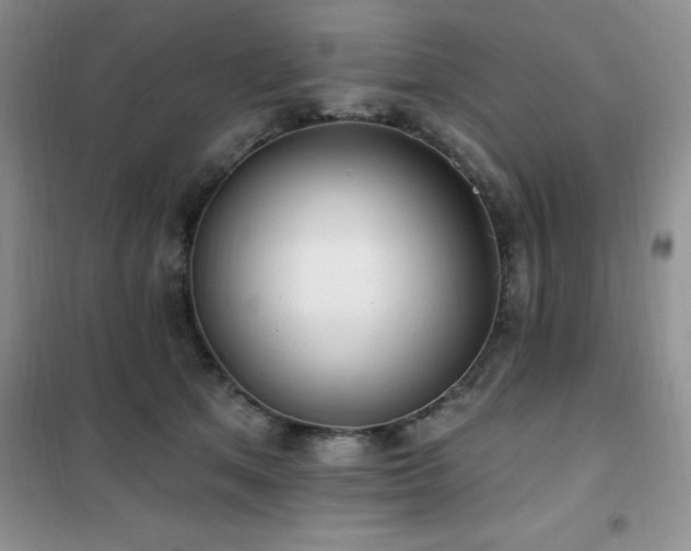 X0000102350513200808011207