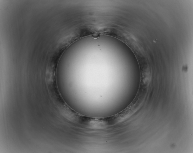 X0000102350515200808011207