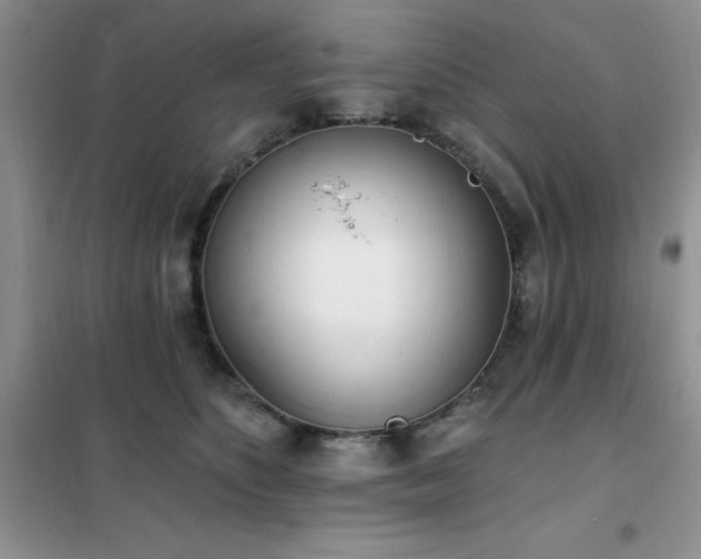 X0000102350516200808011207