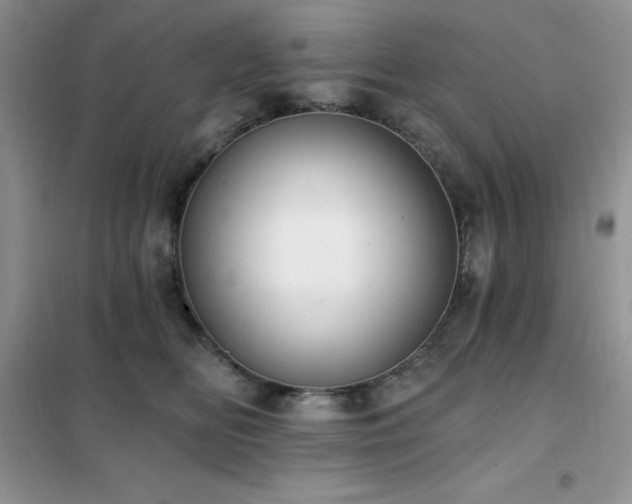 X0000102350518200808011207