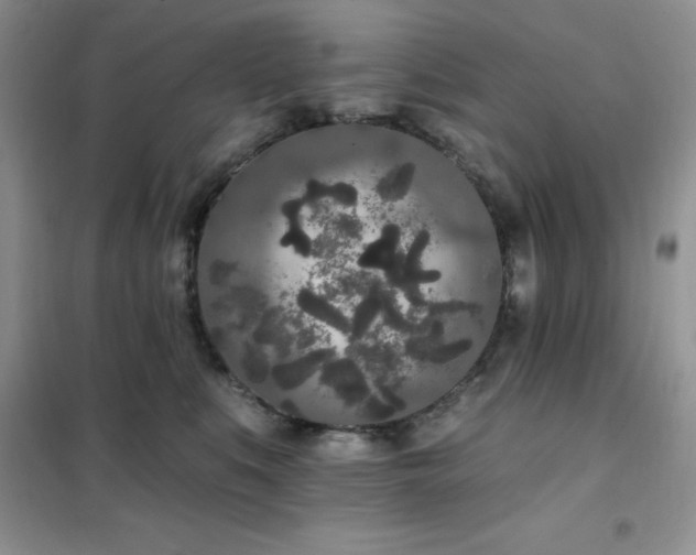 X0000102350519200808011207