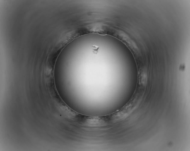 X0000102350521200808011207