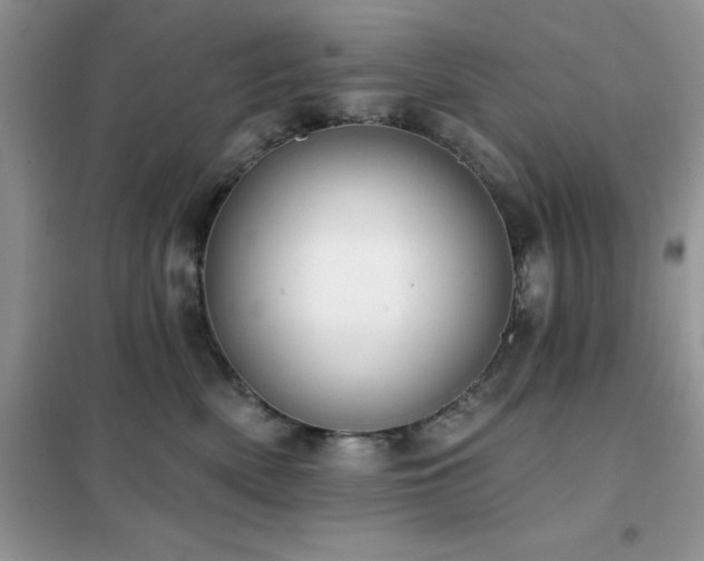 X0000102350522200808011207