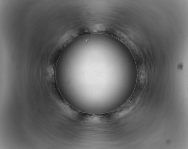 X0000102350523200808011207