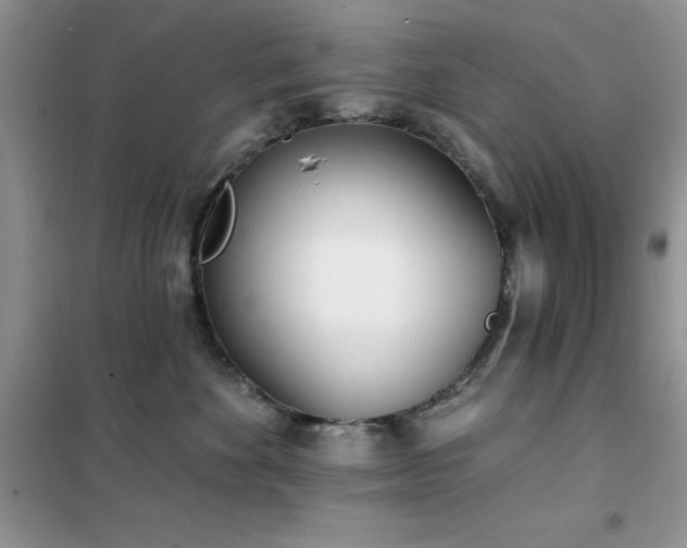 X0000102350524200808011207