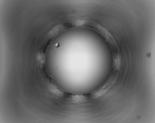 X0000102350525200808011207