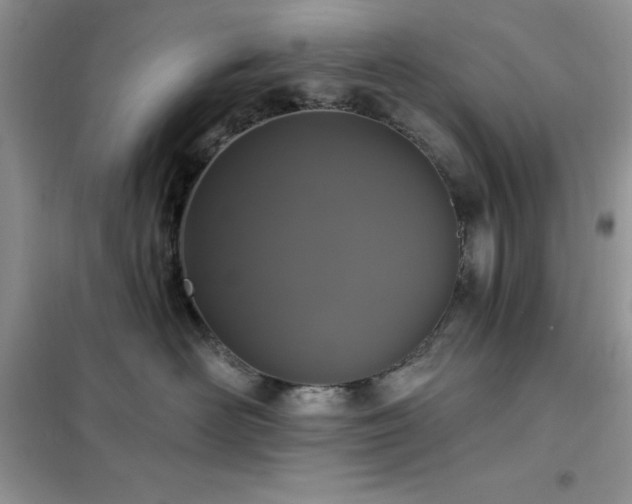 X0000102350526200808011207