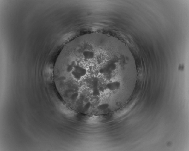 X0000102350527200808011207