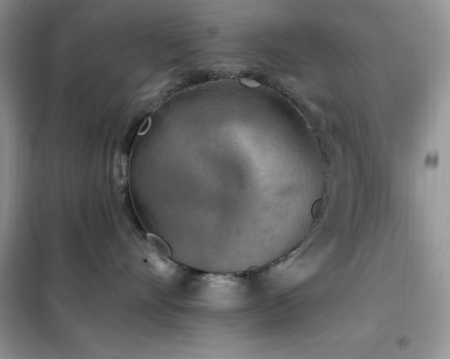 X0000102350528200808011207