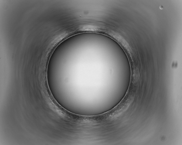 X0000102350529200808011206