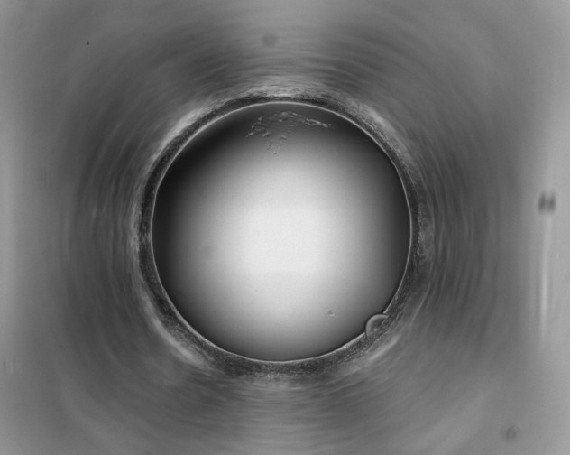 X0000102350530200808011206