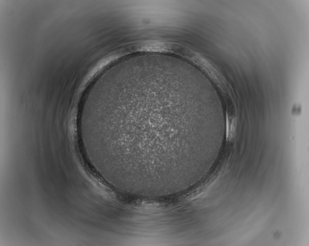 X0000102350531200808011206