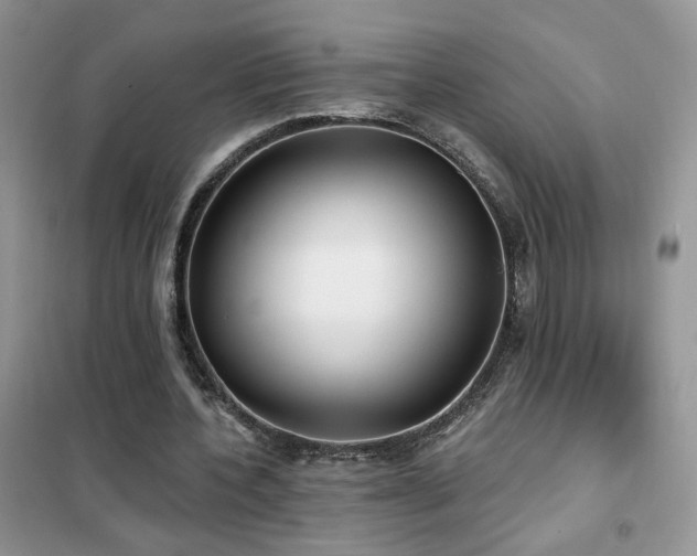 X0000102350532200808011206