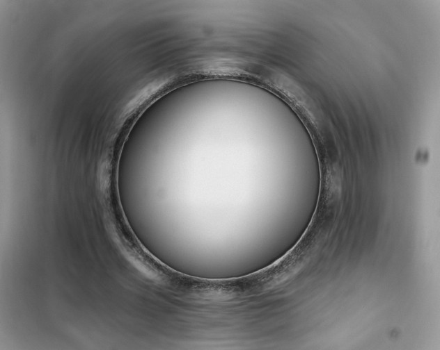 X0000102350533200808011206