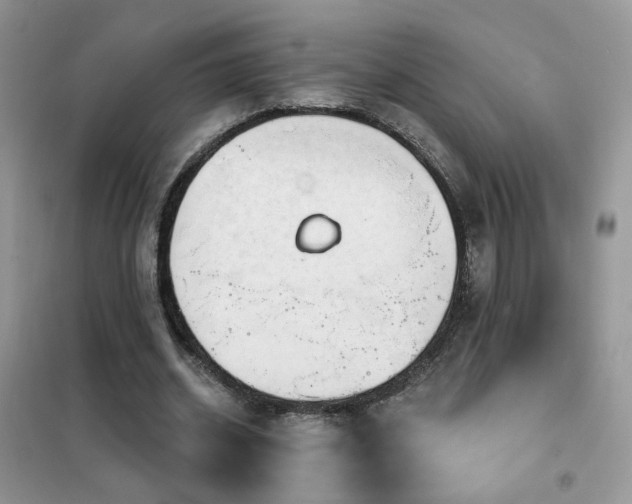 X0000102350534200808011206