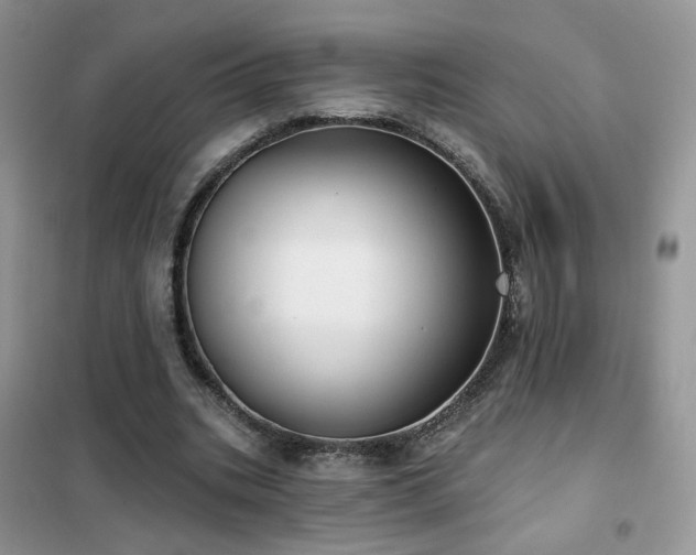 X0000102350535200808011206