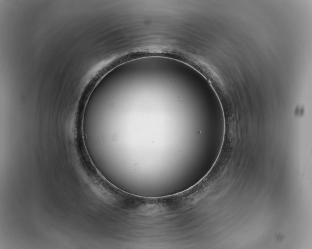 X0000102350536200808011206