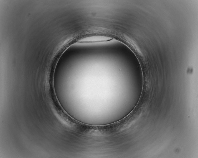 X0000102350538200808011206