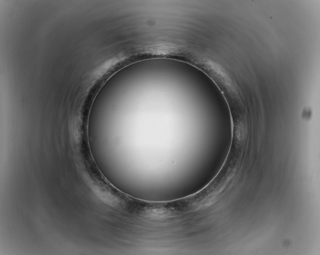 X0000102350540200808011206