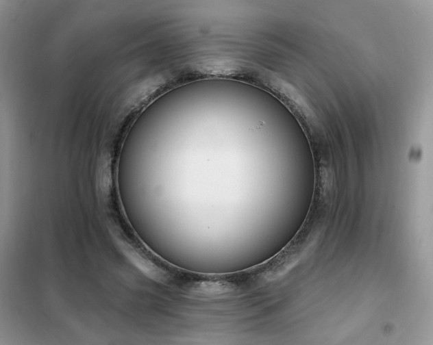 X0000102350541200808011206