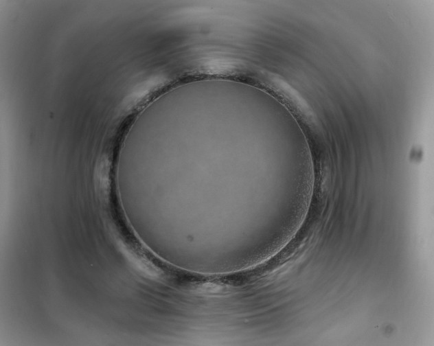 X0000102350542200808011206