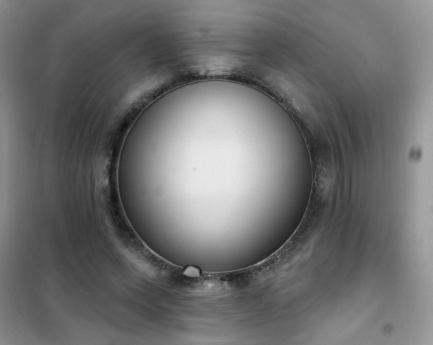 X0000102350543200808011206