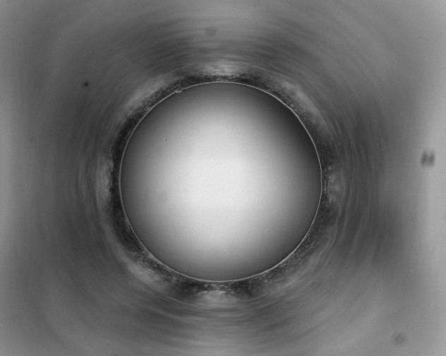 X0000102350544200808011206