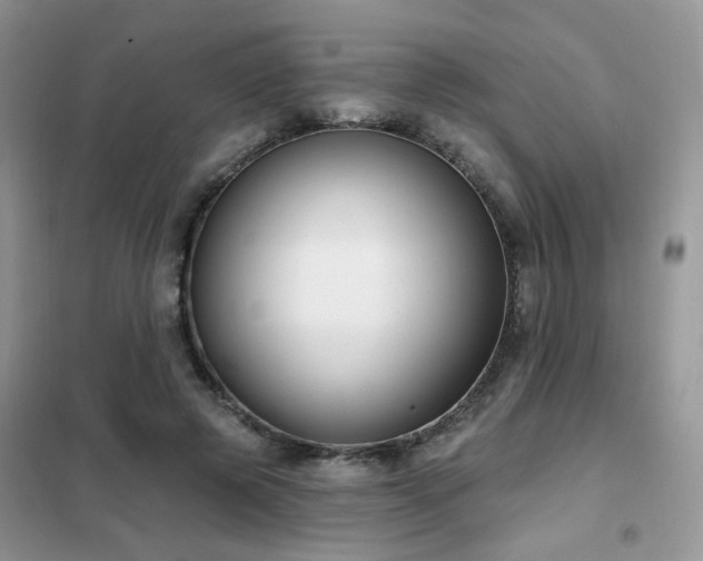 X0000102350545200808011206