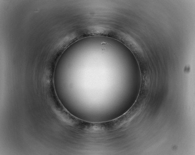 X0000102350546200808011206